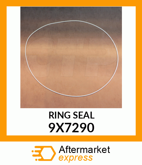 RING SEAL 9X7290
