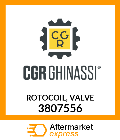 ROTOCOIL, VALVE 3807556