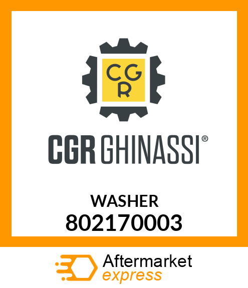 WASHER 802170003