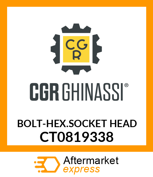 BOLT-HEX.SOCKET HEAD CT0819338