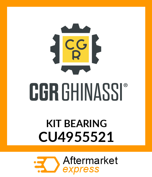 KIT BEARING CU4955521