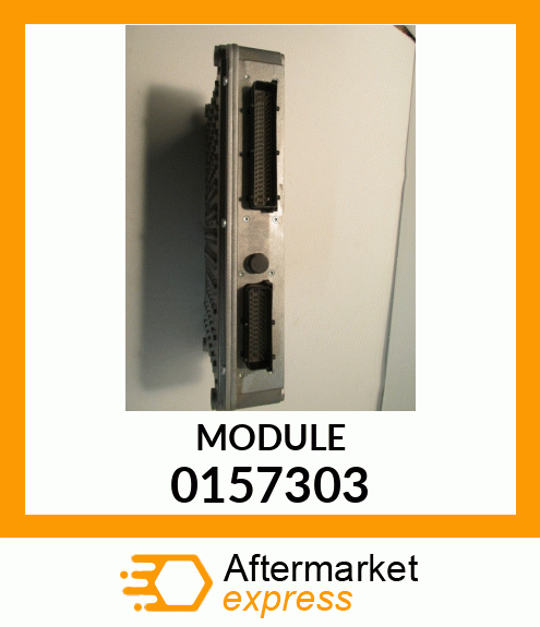 MODULE 0157303