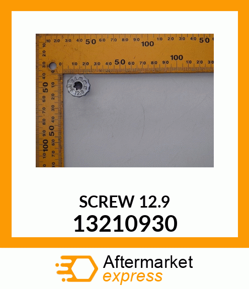 SCREW_12.9 13210930