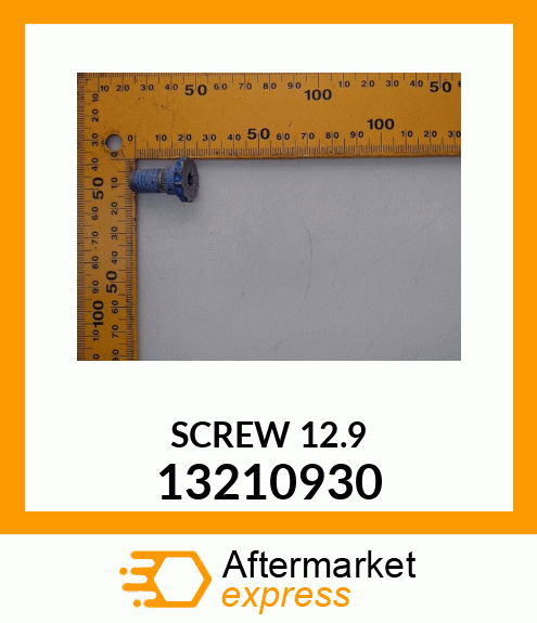 SCREW_12.9 13210930