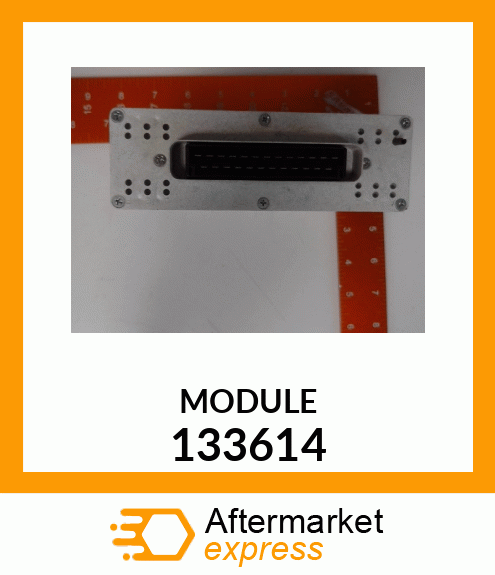 MODULE 133614