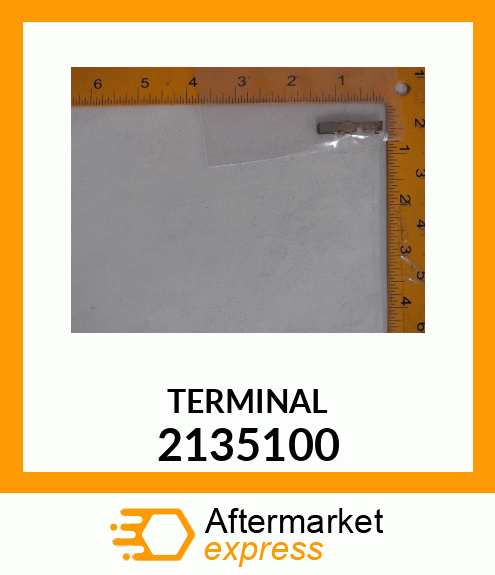 TERMINAL 2135100