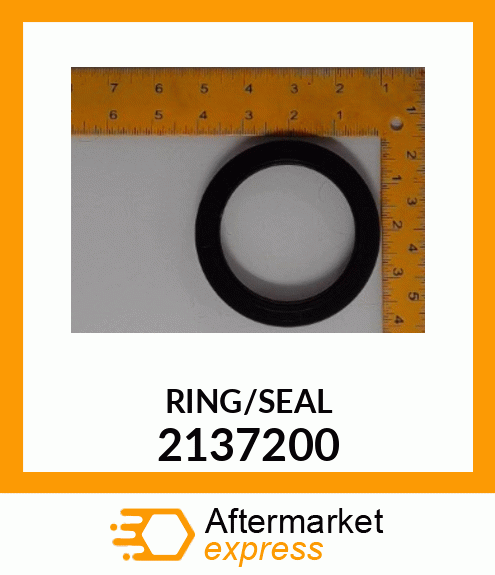 RING/SEAL 2137200