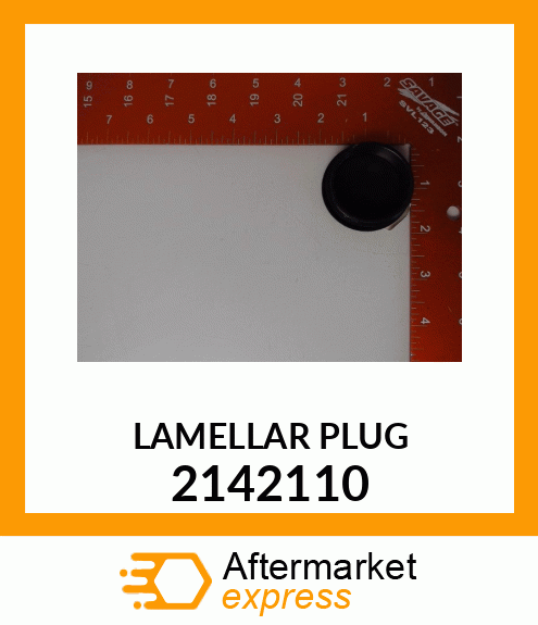 LAMELLAR_PLUG 2142110