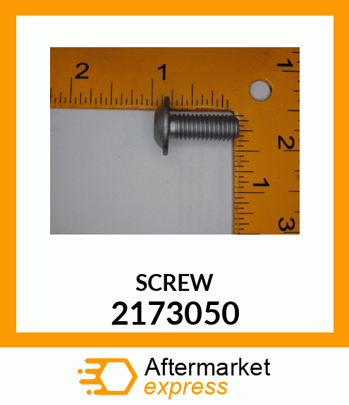 SCREW 2173050