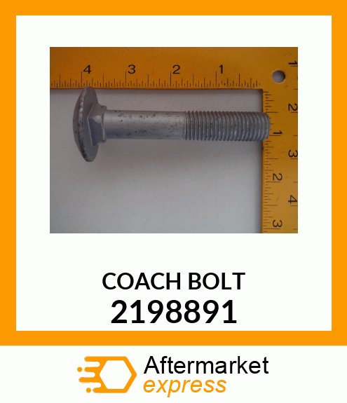 COACH_BOLT 2198891