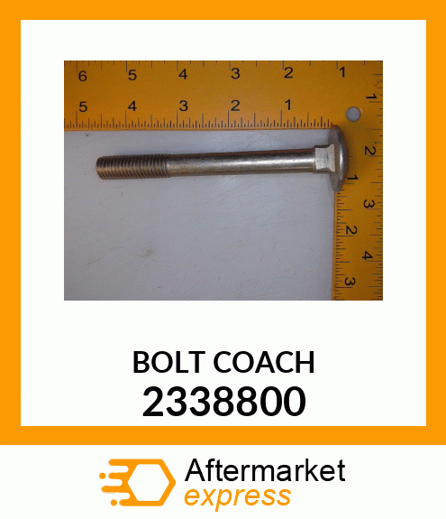 BOLT_COACH 2338800