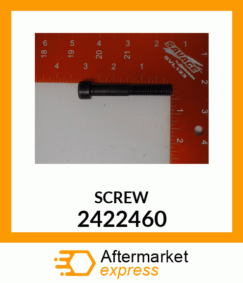 SCREW 2422460