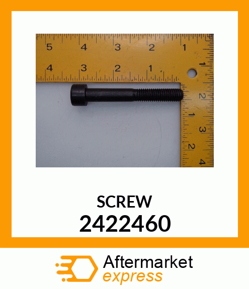 SCREW 2422460