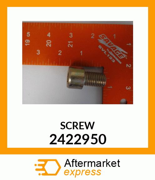 SCREW 2422950