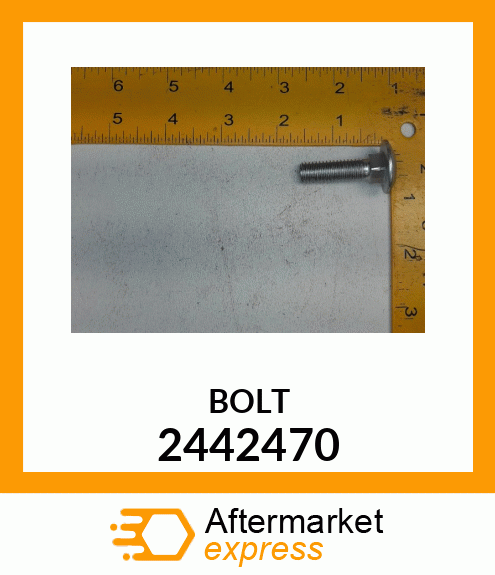 CARAGE BOLT 2442470