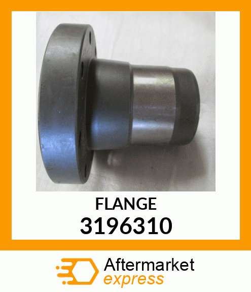 FLANGE 3196310