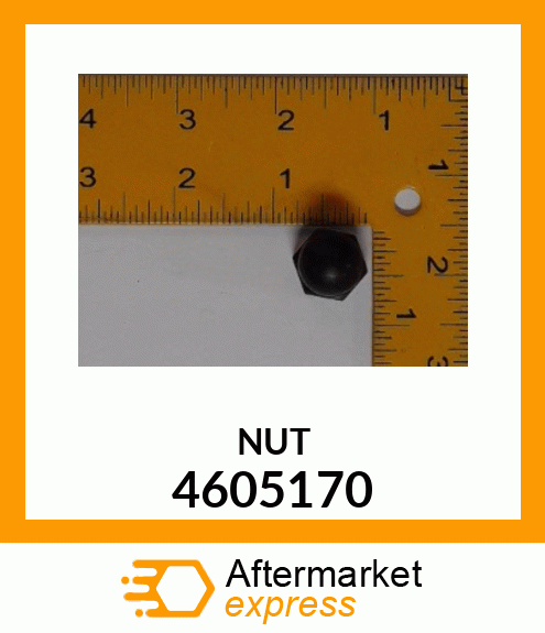 NUT 4605170