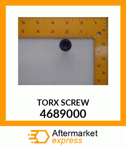 TORX_SCREW 4689000