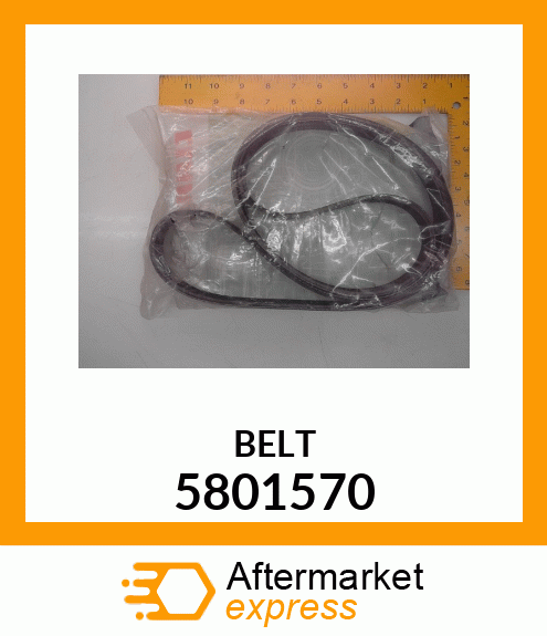 BELT 5801570