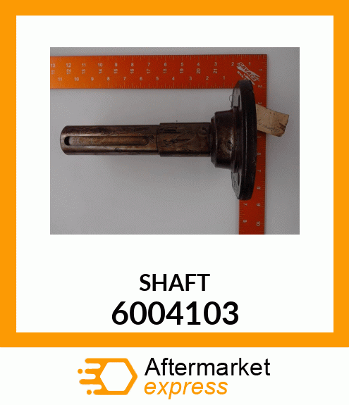 SHAFT 6004103