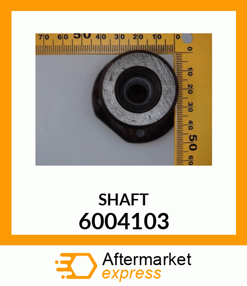 SHAFT 6004103