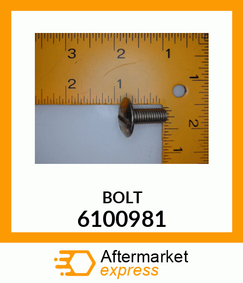 BOLT 6100981