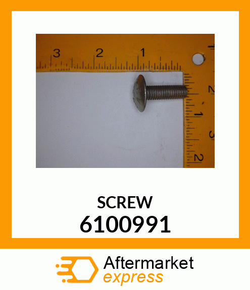 SCREW 6100991