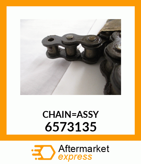 CHAIN_ASSY 6573135