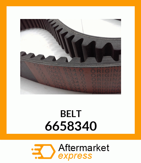 BELT 6658340