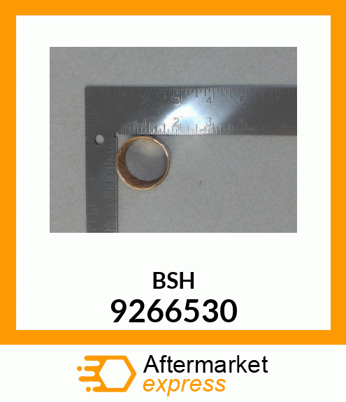 BSH 9266530