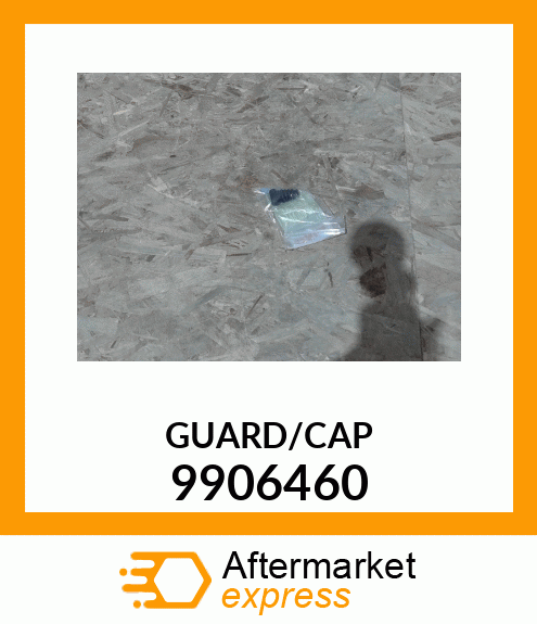 GUARD/CAP 9906460