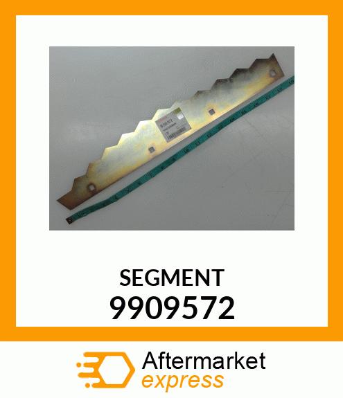 SEGMENT 9909572