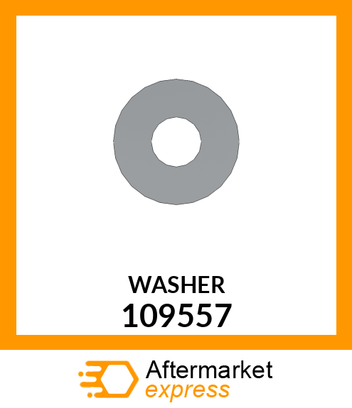 WASHER 109557