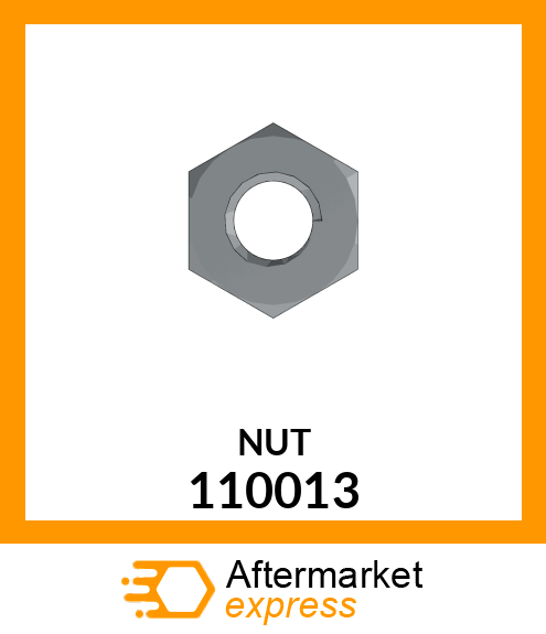 NUT 110013