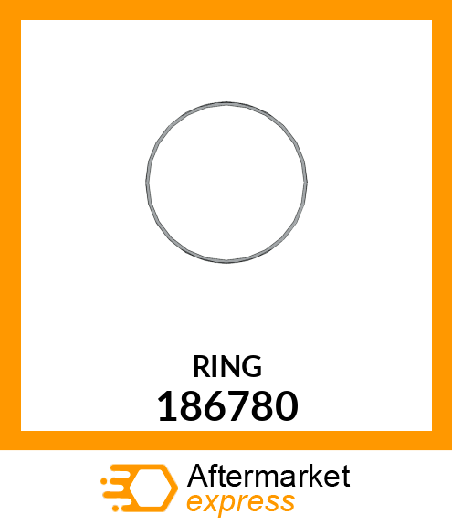 SEAL THERMOSTAT 186780