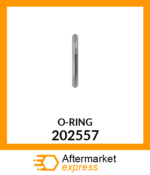 O-RING 202557