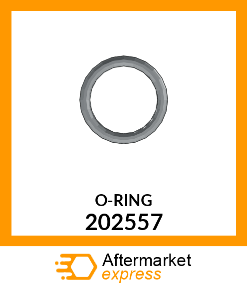 O-RING 202557