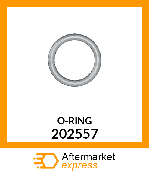 O-RING 202557