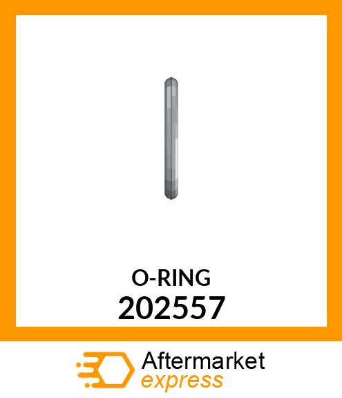 O-RING 202557