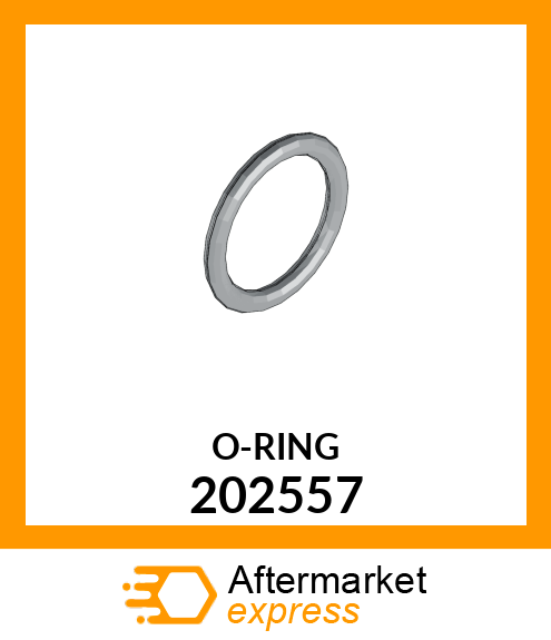 O-RING 202557