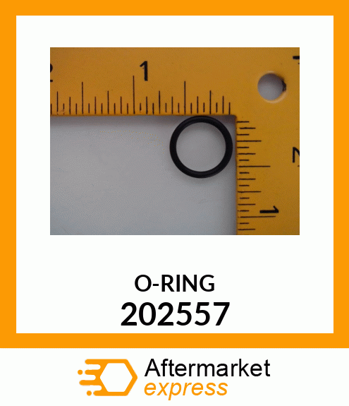 O-RING 202557