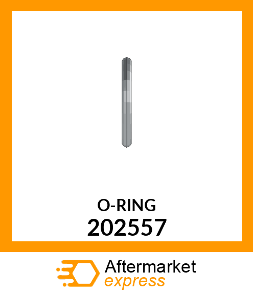 O-RING 202557