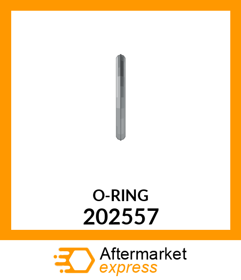 O-RING 202557