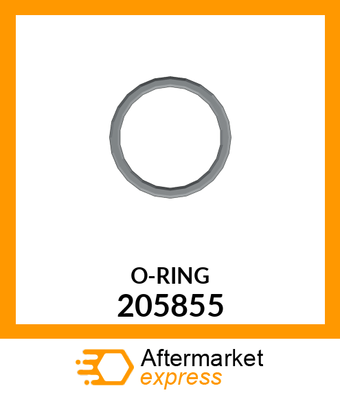 O-RING 205855