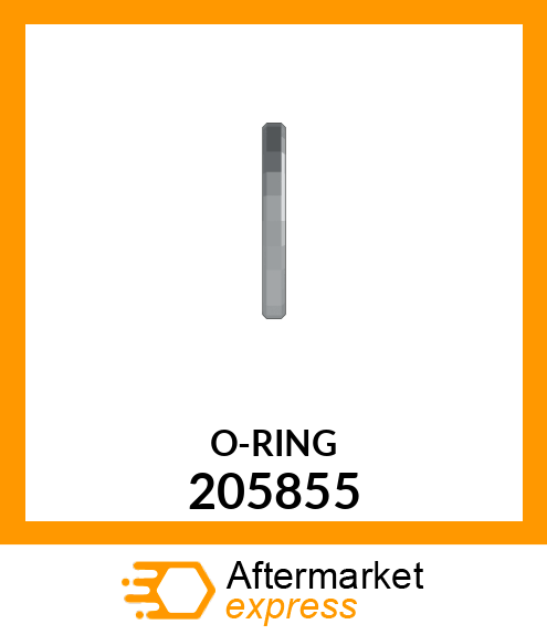 O-RING 205855