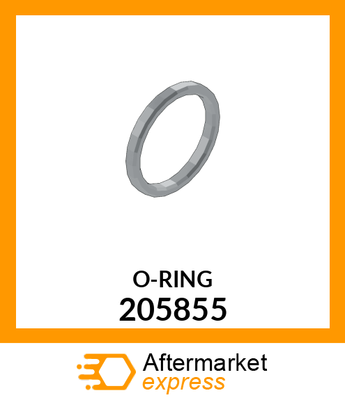 O-RING 205855