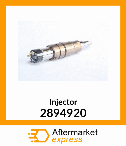 Injector 2894920