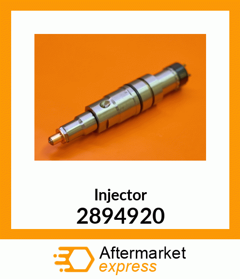 Injector 2894920