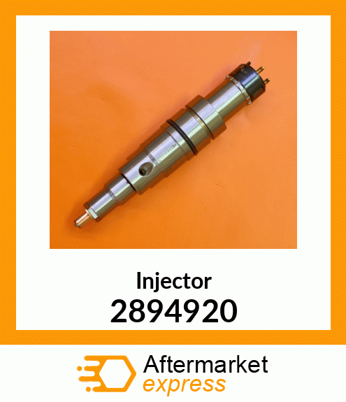 Injector 2894920