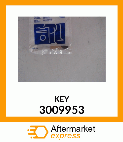 KEY 3009953